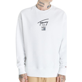 Textiel Heren Sweaters / Sweatshirts Tommy Hilfiger  Wit