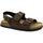 Schoenen Heren Sandalen / Open schoenen Grunland GRU-RRR-SB3645-MO Brown