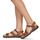 Schoenen Dames Sandalen / Open schoenen Clarks KITLY WAY Brown