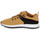 Schoenen Heren Lage sneakers Timberland SPRINT TREKR LOW KNIT Brown / Zwart / Wit