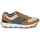 Schoenen Heren Lage sneakers Timberland WINSOR PARK OX Brown / Multicolour