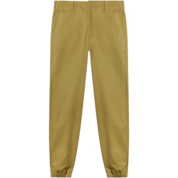 Textiel Heren Broeken / Pantalons Dickies  Brown