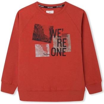 Textiel Jongens Sweaters / Sweatshirts Pepe jeans  Rood
