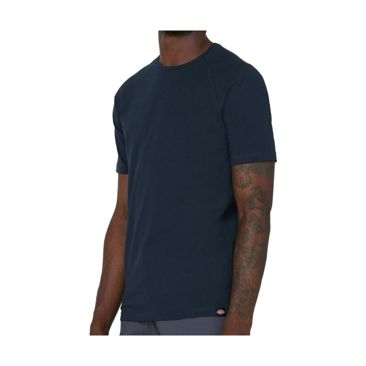 Textiel Heren T-shirts & Polo’s Dickies  Blauw
