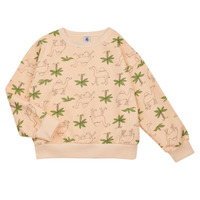 Textiel Jongens Sweaters / Sweatshirts Petit Bateau FLOT Multicolour