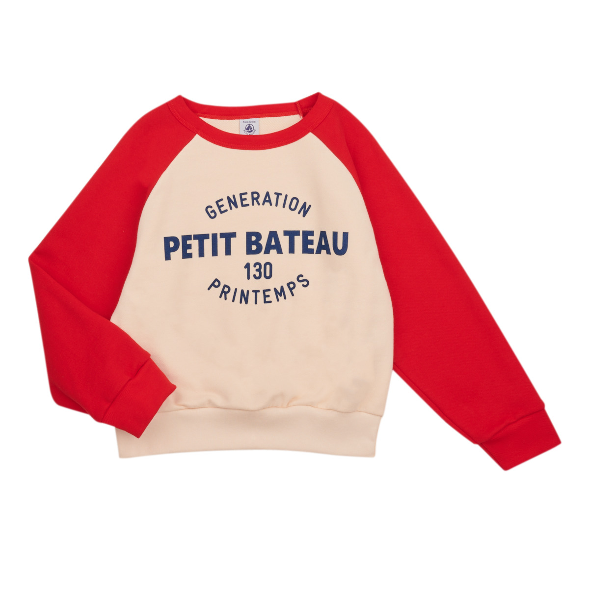 Textiel Jongens Sweaters / Sweatshirts Petit Bateau FORGET Multicolour