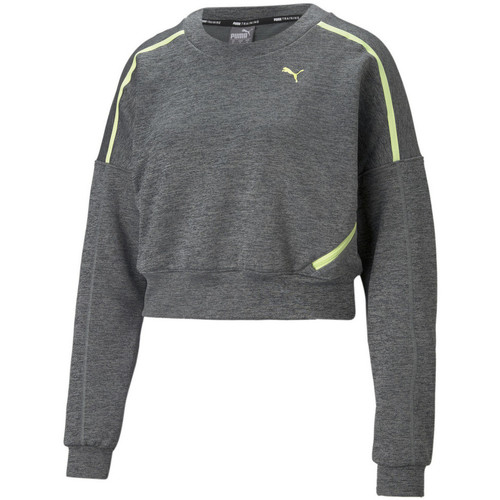 Textiel Dames Sweaters / Sweatshirts Puma  Grijs