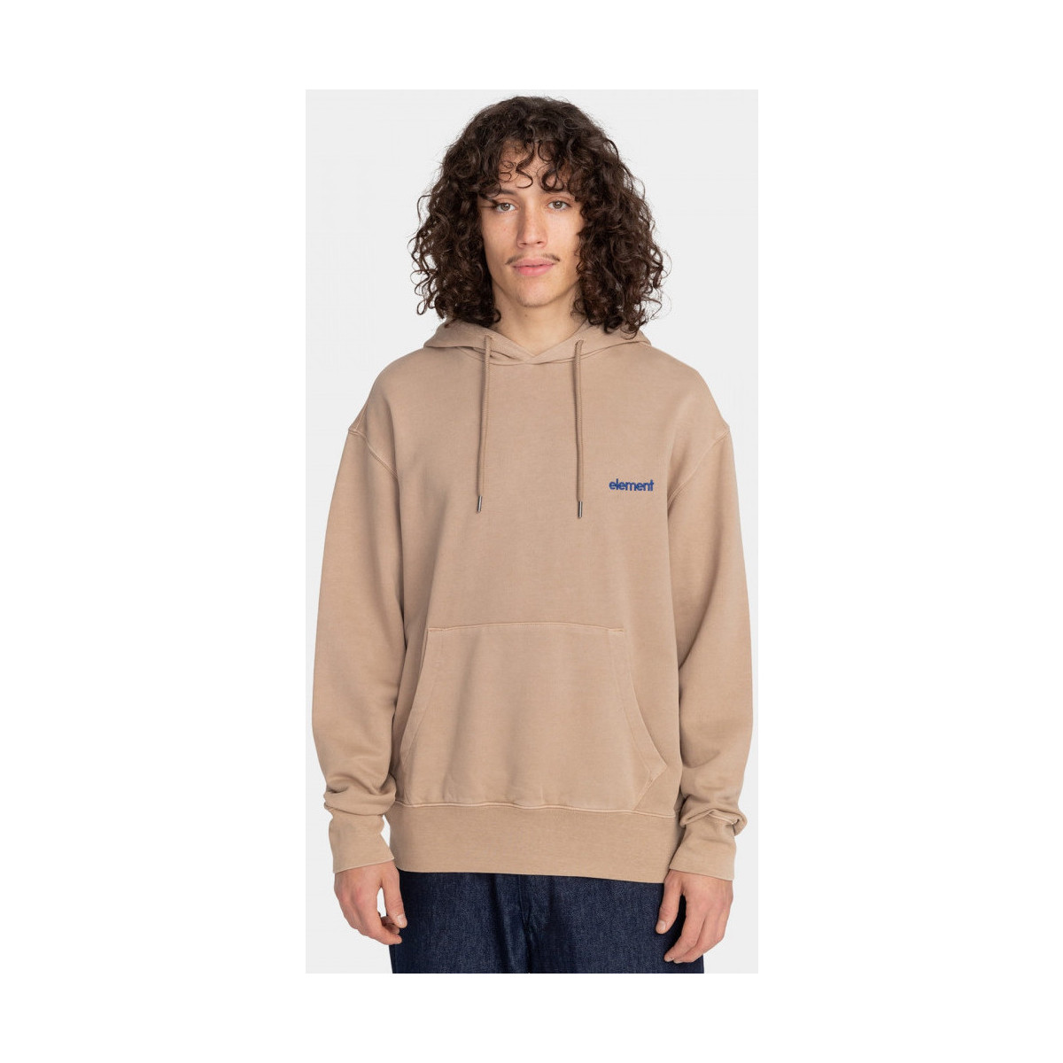 Textiel Heren Sweaters / Sweatshirts Element Cornell 3.0 po Brown