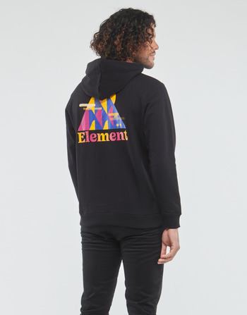 Textiel Heren Sweaters / Sweatshirts Element HILLS HOOD Flint /  zwart