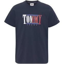 Textiel Heren T-shirts korte mouwen Tommy Hilfiger  Blauw