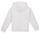 Textiel Jongens Sweaters / Sweatshirts Calvin Klein Jeans MINI BLOCK LOGO HOODIE Wit