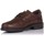 Schoenen Heren Sneakers Luisetti BASKETS  33601 Brown