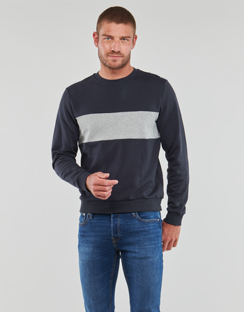 Textiel Heren Sweaters / Sweatshirts Geox M SWEATER R-NECK BAN Marine / Grijs