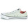 Schoenen Dames Lage sneakers Converse CHUCK TAYLOR ALL STAR FLORAL OX Groen / Wit