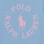 Textiel Meisjes T-shirts korte mouwen Polo Ralph Lauren SS GRAPHIC T-KNIT SHIRTS-T-SHIRT Blauw / Ciel / Roze