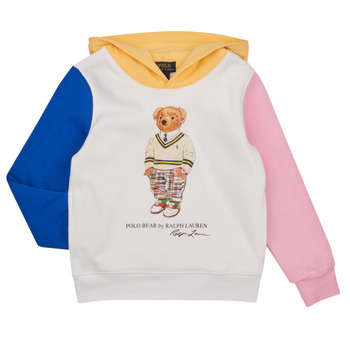 Textiel Kinderen Sweaters / Sweatshirts Polo Ralph Lauren LSPO HOOD M7-KNIT SHIRTS-SWEATSHIRT Multicolour
