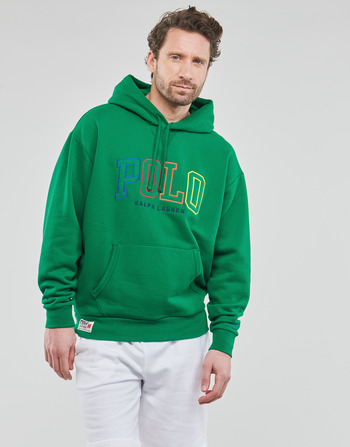 Textiel Heren Sweaters / Sweatshirts Polo Ralph Lauren 710899182004 Groen