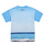 Textiel Jongens T-shirts korte mouwen Desigual TS_ALBERT Blauw