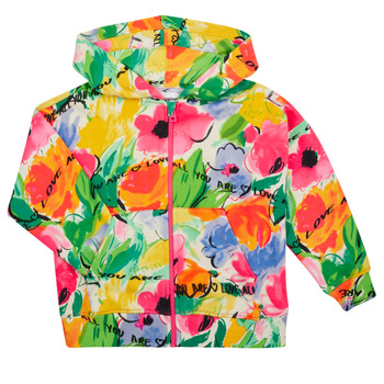 Textiel Meisjes Sweaters / Sweatshirts Desigual SWEAR_EVA Multicolour