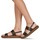 Schoenen Dames Sandalen / Open schoenen Neosens TARDANA Brown