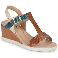 Schoenen Dames Sandalen / Open schoenen Pikolinos TEULADA Brown / Blauw