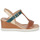 Schoenen Dames Sandalen / Open schoenen Pikolinos TEULADA Brown / Blauw