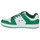 Schoenen Heren Lage sneakers DC Shoes MANTECA 4 SN Wit / Groen