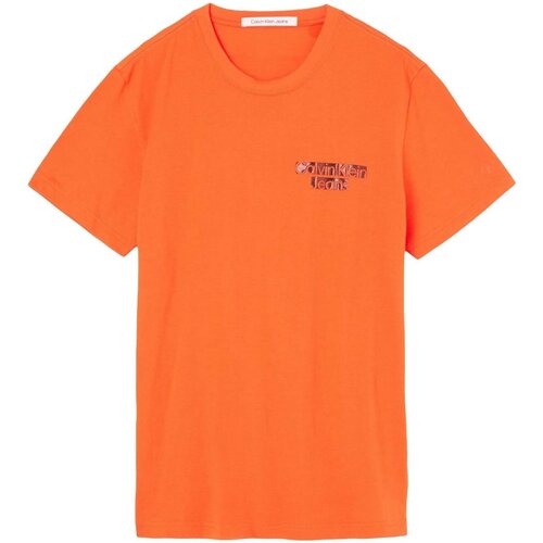 Textiel Heren T-shirts korte mouwen Calvin Klein Jeans J30J321772 Orange