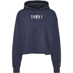 Textiel Dames Sweaters / Sweatshirts Tommy Jeans DW0DW14327 Blauw