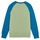 Textiel Kinderen Sweaters / Sweatshirts Patagonia K's LW Crew Sweatshirt Multicolour