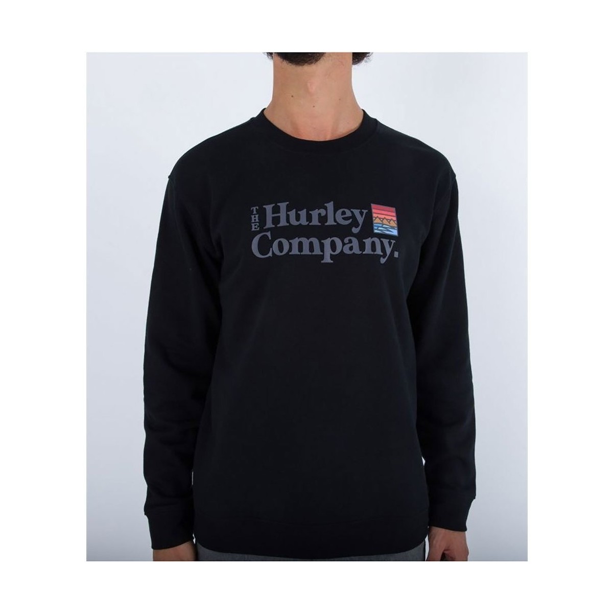 Textiel Heren Sweaters / Sweatshirts Hurley Sweatshirt  Ponzo Canyon Zwart
