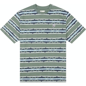 Textiel Heren T-shirts & Polo’s Penfield T-shirt à rayures géométriques  Laurel Wreath Groen