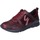Schoenen Dames Sneakers Gattinoni BE521 Bordeaux