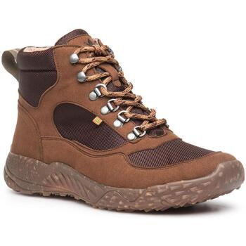 Schoenen Dames Low boots El Naturalista 25620T112005 Brown