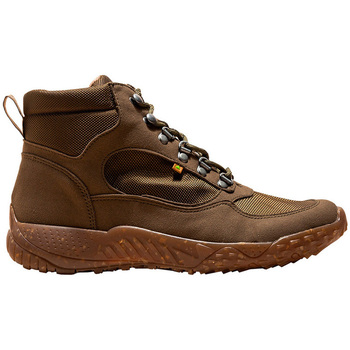 Schoenen Dames Low boots El Naturalista 25620T1FE005 Brown