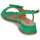 Schoenen Dames Sandalen / Open schoenen Fericelli PANILA Groen