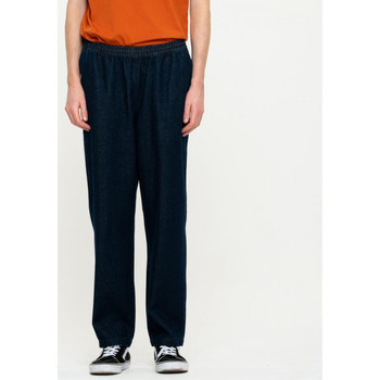 Textiel Heren Broeken / Pantalons Santa Cruz Local pant Blauw