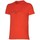 Textiel Heren T-shirts korte mouwen Mizuno Athletic RB Tee Rood