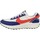 Schoenen Heren Sneakers Nike DV0527 Blauw