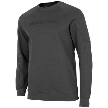 Textiel Heren Sweaters / Sweatshirts 4F BLM019 Grijs