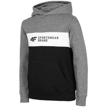 Textiel Jongens Sweaters / Sweatshirts 4F JBLM003 Gris, Noir