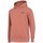Textiel Dames Sweaters / Sweatshirts 4F BLM022 Orange