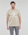 Textiel T-shirts korte mouwen Converse GO-TO STAR CHEVRON LOGO Beige