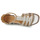 Schoenen Dames Sandalen / Open schoenen Casta GRAND Zilver