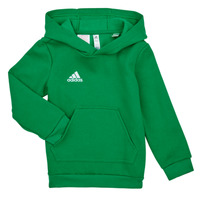 Textiel Kinderen Sweaters / Sweatshirts adidas Performance ENT22 HOODY Y Team / Green