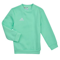 Textiel Kinderen Sweaters / Sweatshirts adidas Performance ENT22 SW TOPY Mint / Clair