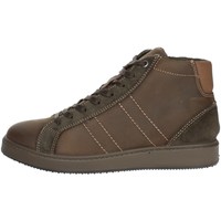 Schoenen Heren Hoge sneakers Imac 252860 Brown