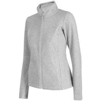 Textiel Dames Sweaters / Sweatshirts 4F PLD350 Grijs