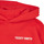 Textiel Jongens Sweaters / Sweatshirts Teddy Smith S-REQUIRED G JR Roze
