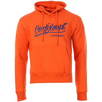 Textiel Heren Sweaters / Sweatshirts C17  Orange